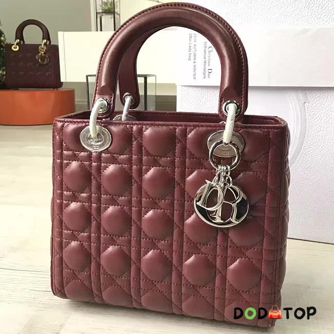 Fancybags Lady Dior 1613 - 1