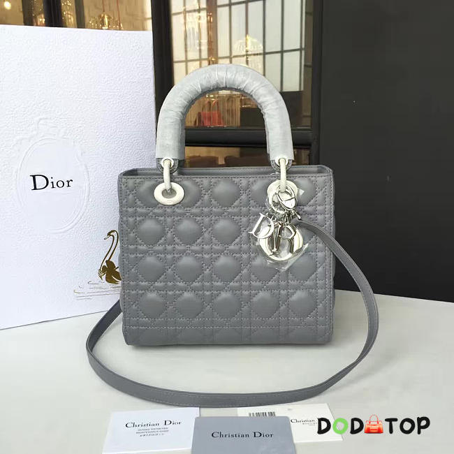 Fancybags Lady Dior 1632 - 1