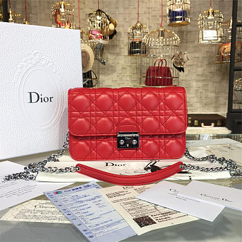 Fancybags Dior WOC 1675