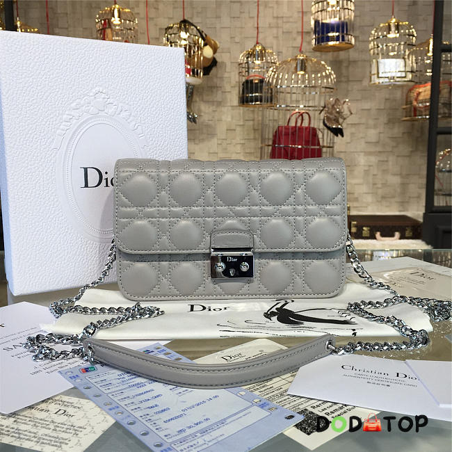 Fancybags Dior WOC 1681 - 1