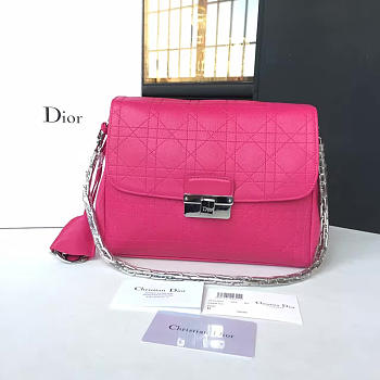 Fancybags Dior Miss