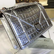 Fancybags Dior ama 1754 - 5