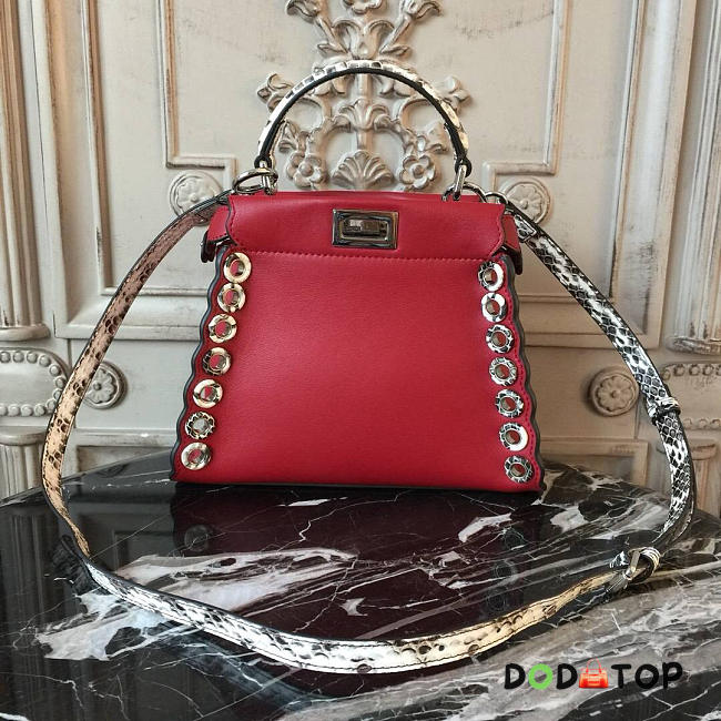 Fancybags Fendi Peekaboo Bag 2003 - 1