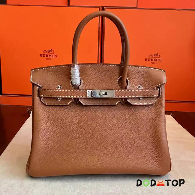 Fancybags Hermes birkin 2953 - 1