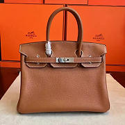 Fancybags Hermes birkin 2953 - 1