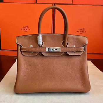 Fancybags Hermes birkin 2953