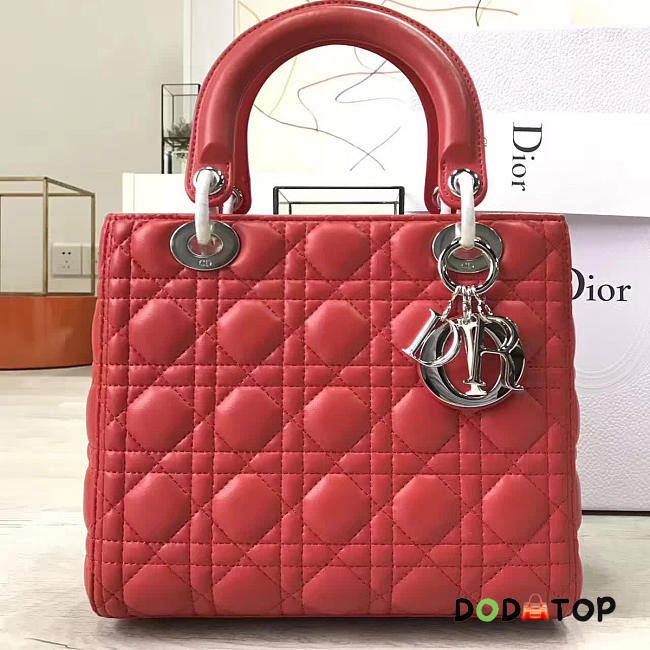 Fancybags Lady Dior 1579 - 1