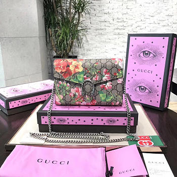Fancybags Gucci WOC 2565