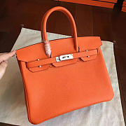 Fancybags Hermes birkin 2937 - 1