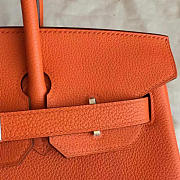 Fancybags Hermes birkin 2937 - 6