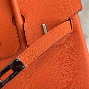 Fancybags Hermes birkin 2937 - 4