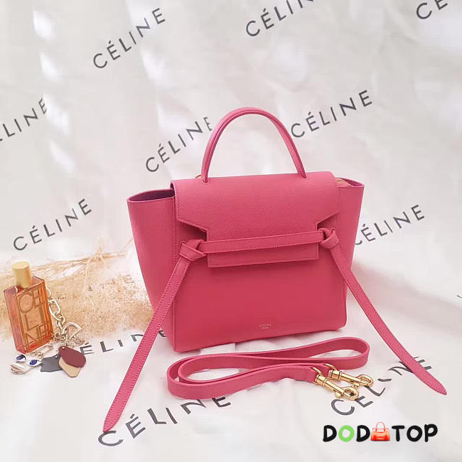 Fancybags Celine Belt bag 1176 - 1