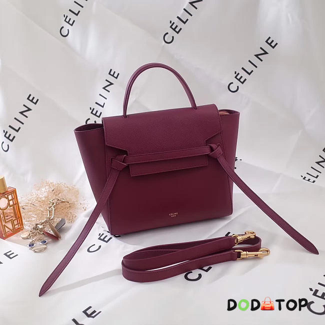 Fancybags Celine Belt bag 1177 - 1