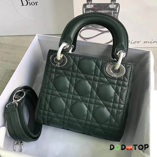 Fancybags Lady Dior mini 1562 - 1