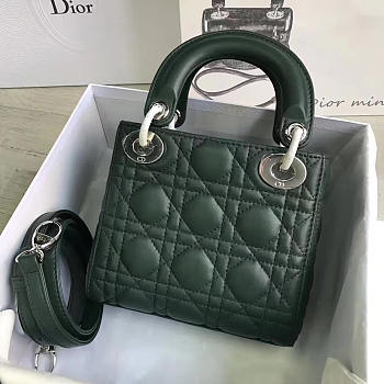 Fancybags Lady Dior mini 1562