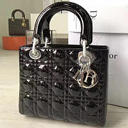 Fancybags Lady Dior 1596 - 1