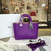 Fancybags Diorissimo 1673 - 1