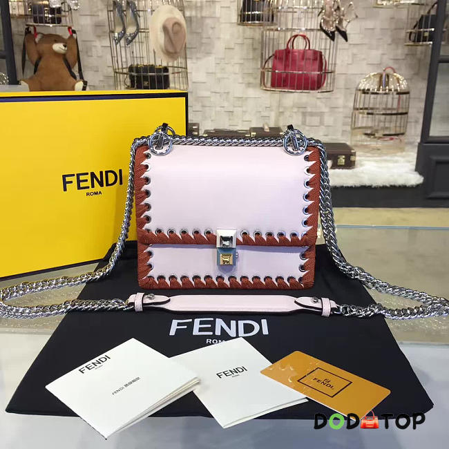 Fancybags Fendi KANI 1914 - 1