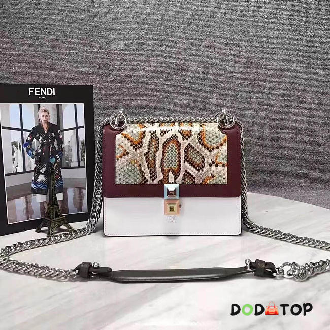 Fancybags Fendi KANI 2018 - 1