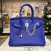 Fancybags Hermes Birkin 2793 - 1