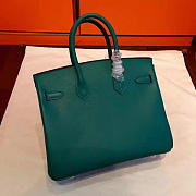 Fancybags Hermes birkin 2938 - 5