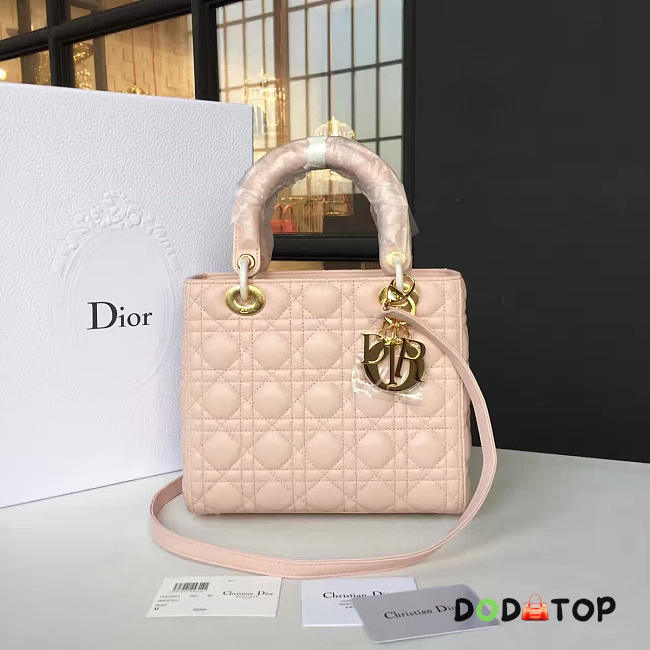 Fancybags Lady Dior 1621 - 1