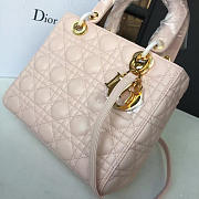 Fancybags Lady Dior 1621 - 3