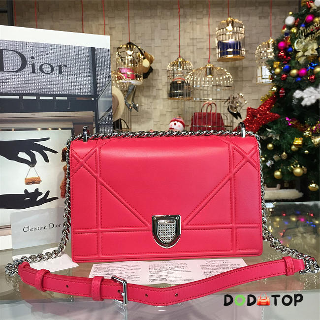 Fancybags Dior ama 1736 - 1