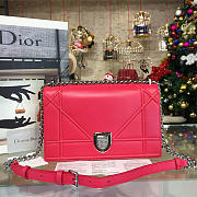 Fancybags Dior ama 1736 - 1