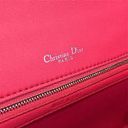 Fancybags Dior ama 1736 - 3