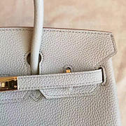 Fancybags Hermes birkin 2954 - 5