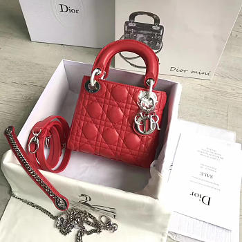 Fancybags Lady Dior mini 1553