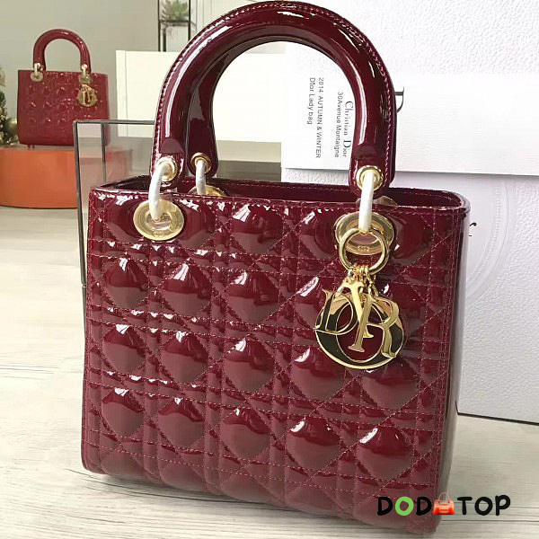 Fancybags Lady Dior 1616 - dodotop.ru