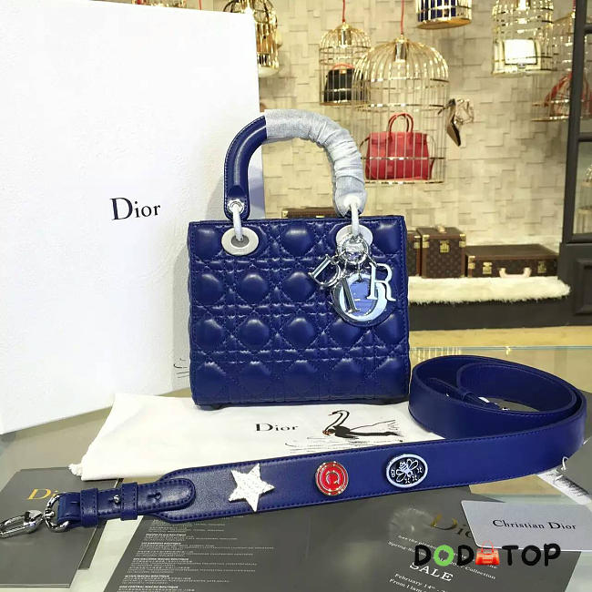 Fancybags Lady Dior 1635 - 1