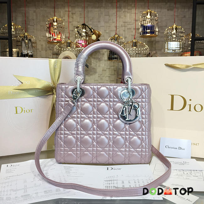 Fancybags Lady Dior 1641 - 1