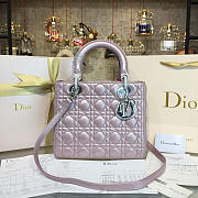 Fancybags Lady Dior 1641 - 1