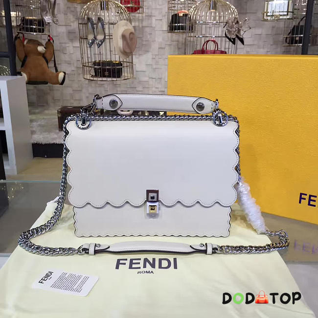 Fancybags Fendi KANI 1974 - 1