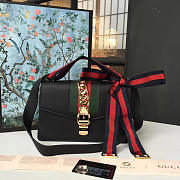 Fancybags Gucci Sylvie 2344 - 1
