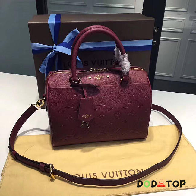 Fancybags LOUIS VUITTON SPEEDY 25 3808 - 1