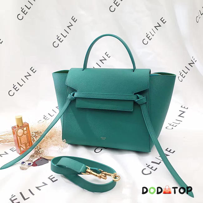 Fancybags Celine Belt bag 1192 - 1