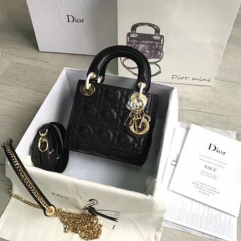 Fancybags Lady Dior mini