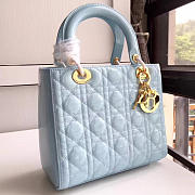 Fancybags Lady Dior 1593 - 1