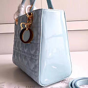 Fancybags Lady Dior 1593 - 2