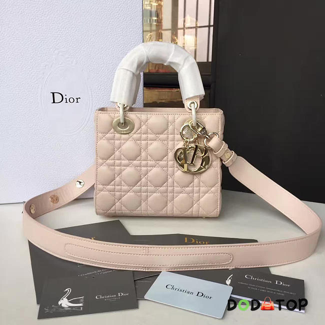 Fancybags Lady Dior 1624 - 1