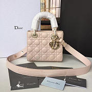 Fancybags Lady Dior 1624 - 1