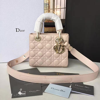 Fancybags Lady Dior 1624