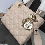 Fancybags Lady Dior 1624 - 2