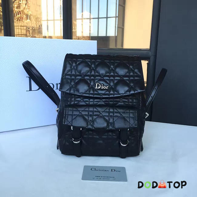 Fancybags Dior backpack - 1