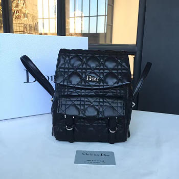 Fancybags Dior backpack