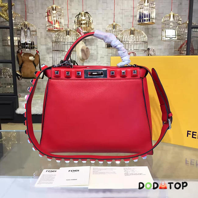 Fancybags Fendi PEEKABOO 1905 - 1